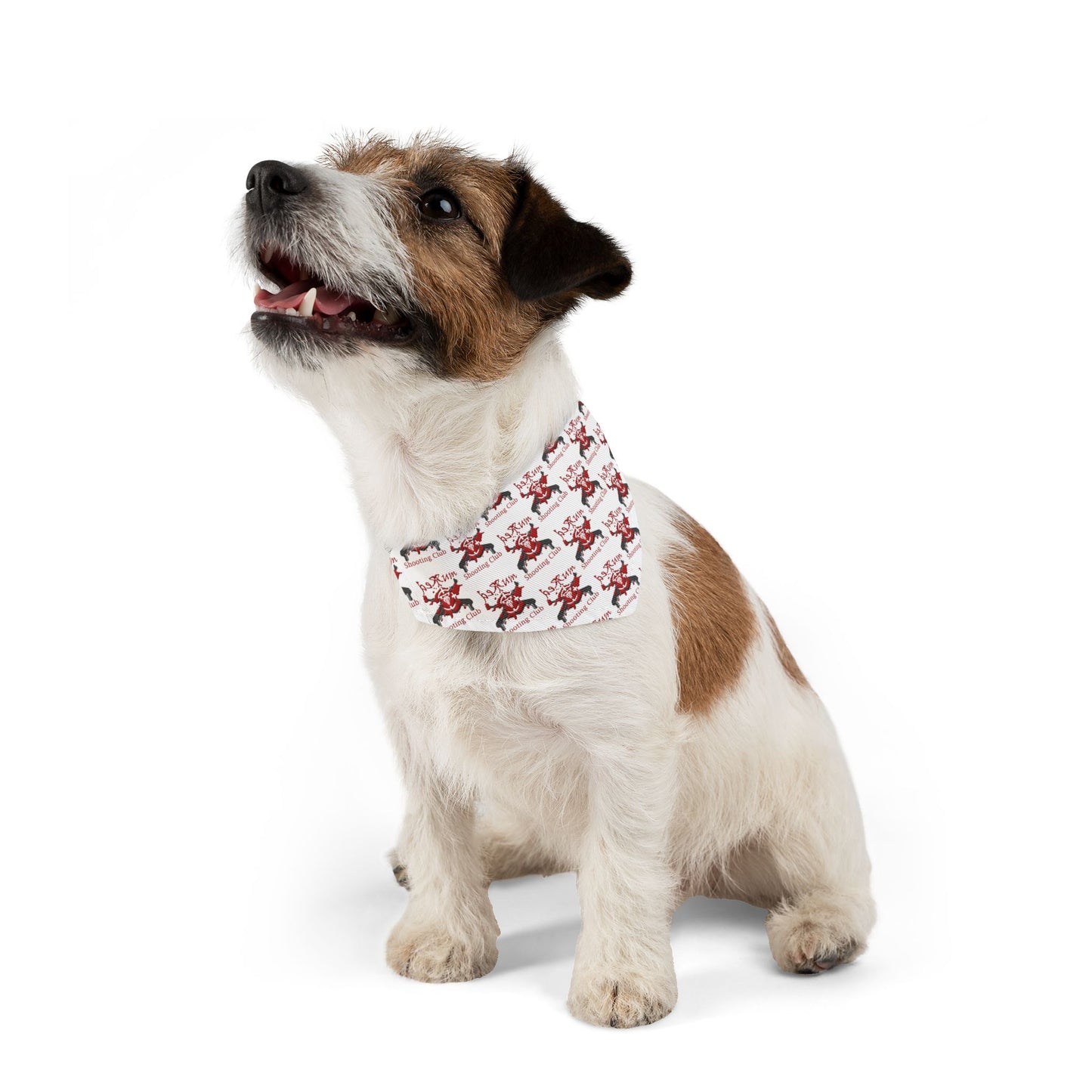 RSC Pet Bandana Collar – Gear Up Your Furry Teammate