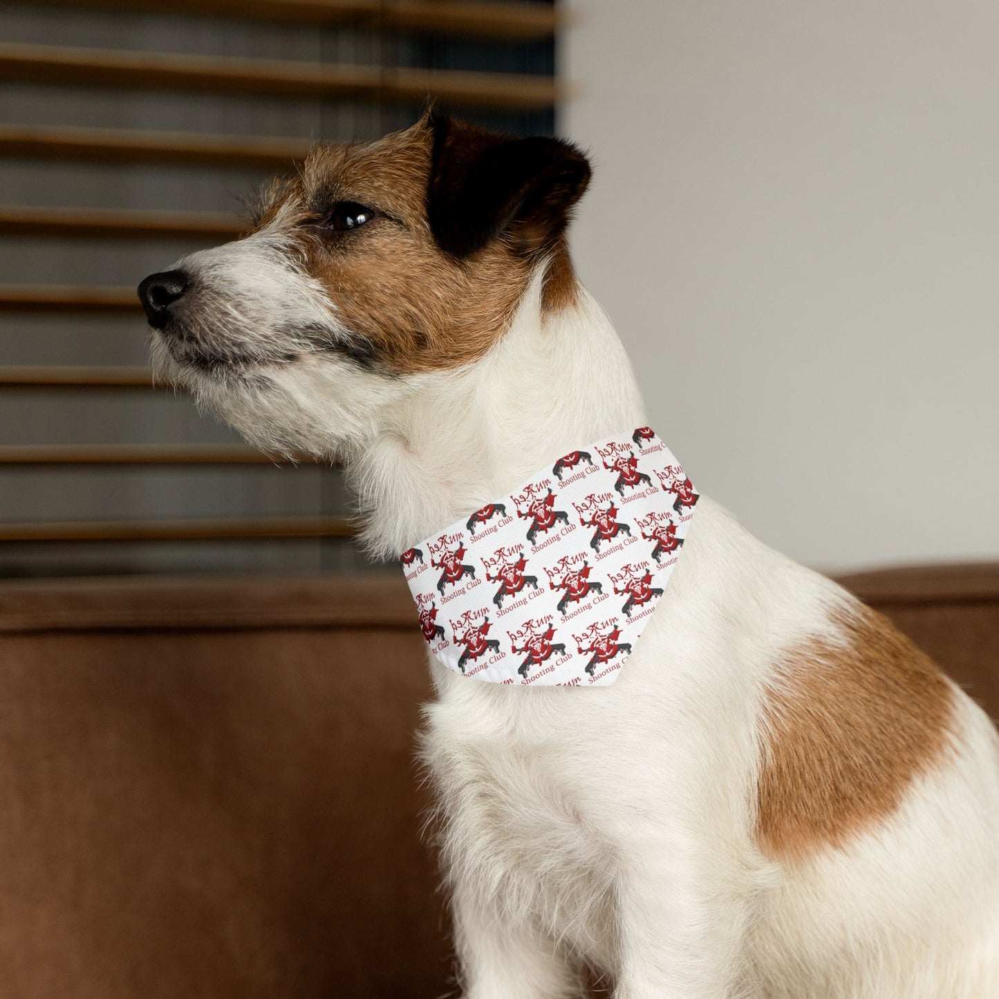 RSC Pet Bandana Collar – Gear Up Your Furry Teammate