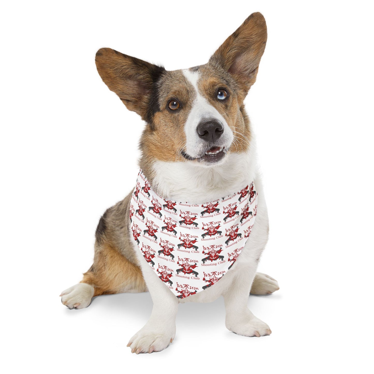 RSC Pet Bandana Collar – Gear Up Your Furry Teammate