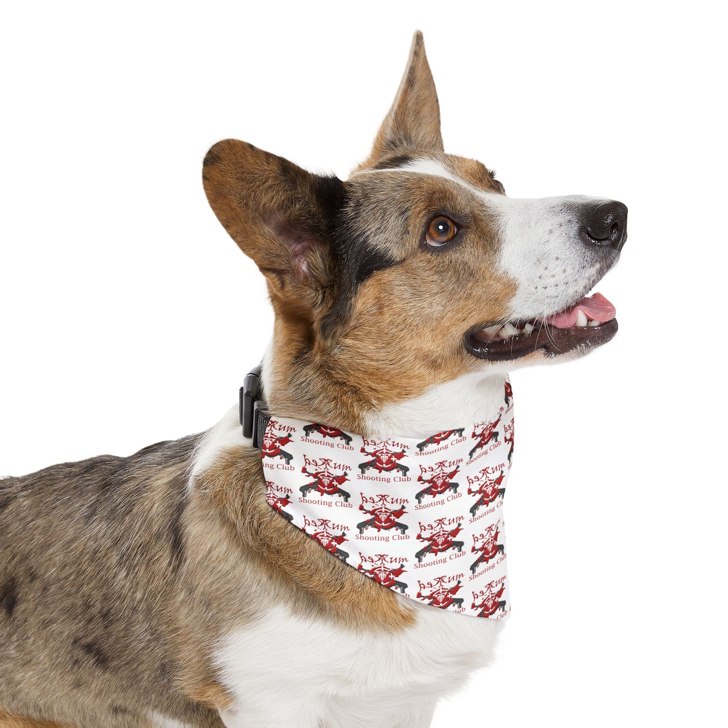 RSC Pet Bandana Collar – Gear Up Your Furry Teammate